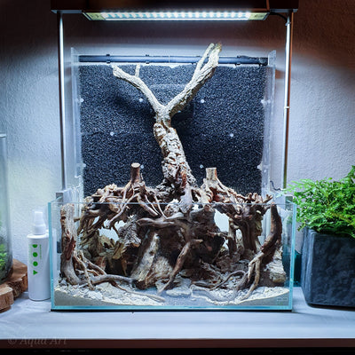 Layout 119 (24 L)