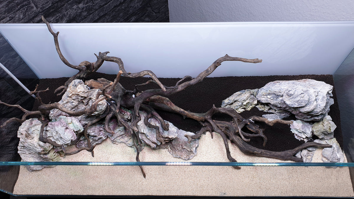 Layout 120 (70 L)