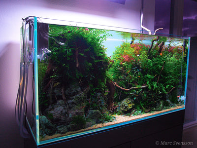 Layout 121 (180 L)
