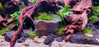 Layout 125 (54 L)