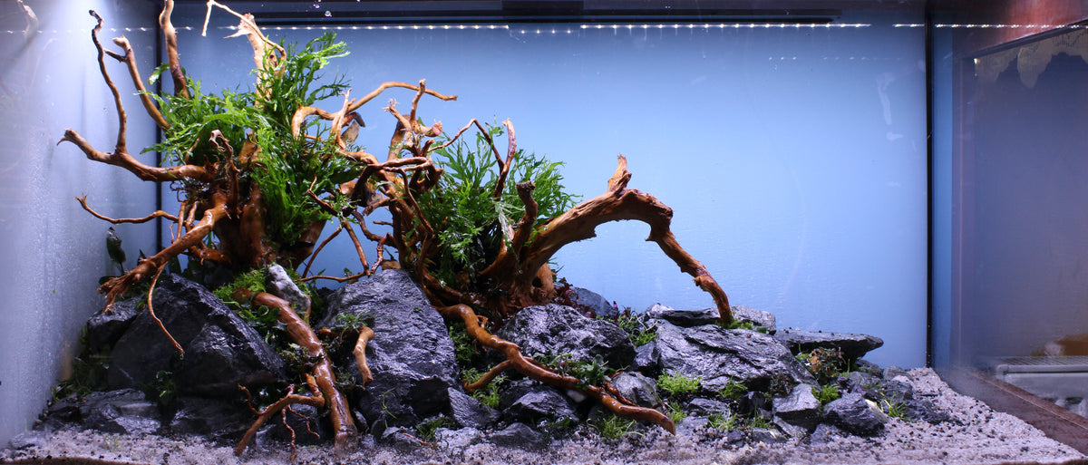 Layout 129 (272 L)