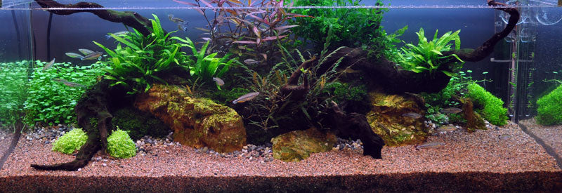 Layout 7 (270 L)