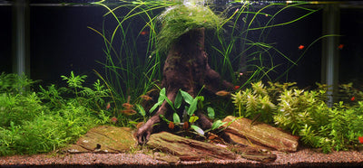 Layout 17 (128 L)