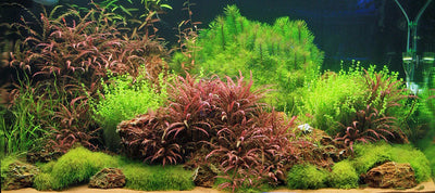 Layout 23 (360 L)