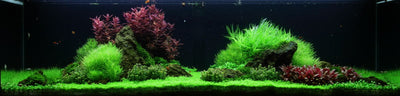 Layout 53 (225 L)