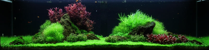 Layout 53 (225 L)
