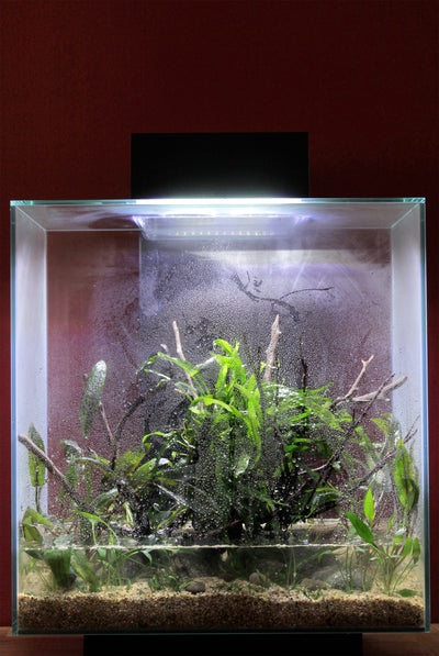 Layout 58 (46 L)