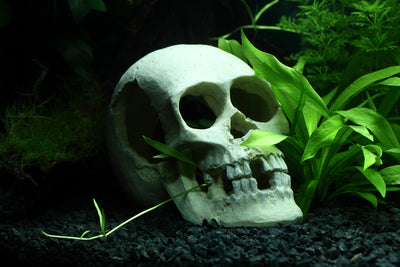 Layout 90 (54 L)