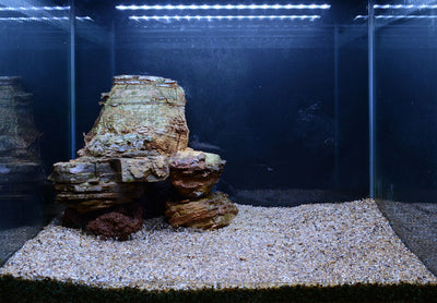 Layout 107 (57 L)