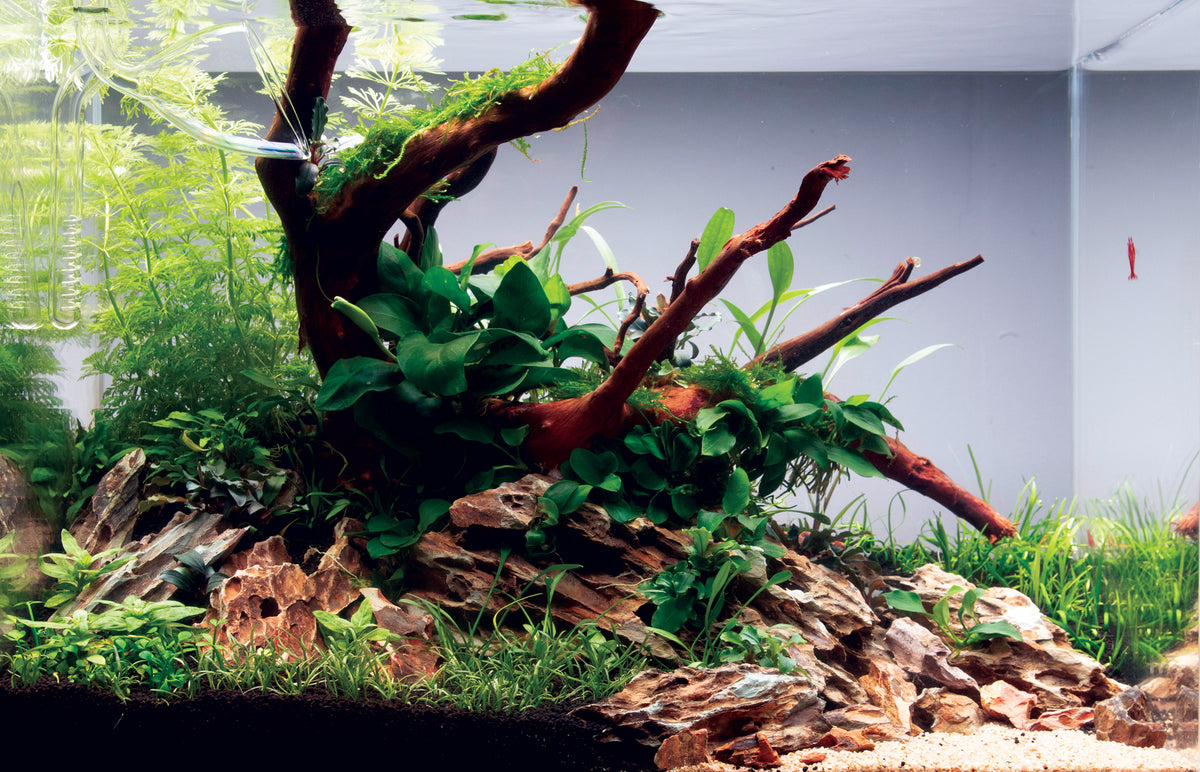 Layout 115 (35 L)