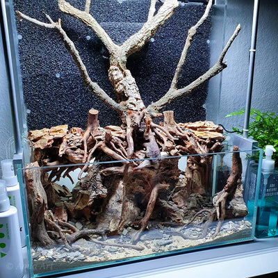 Layout 119 (24 L)