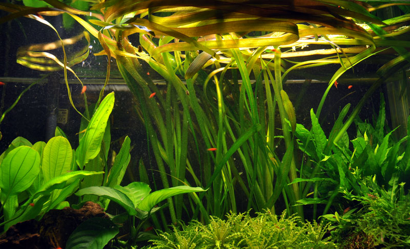 Layout 16 (128 L)