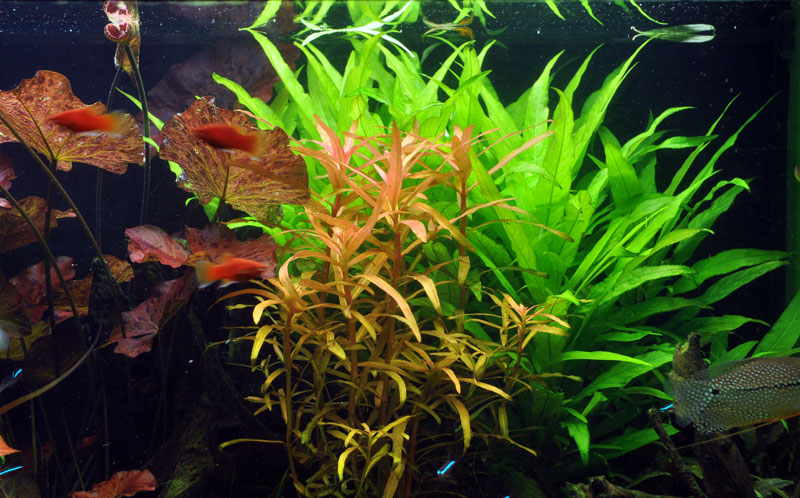 Layout 18 (297 L)
