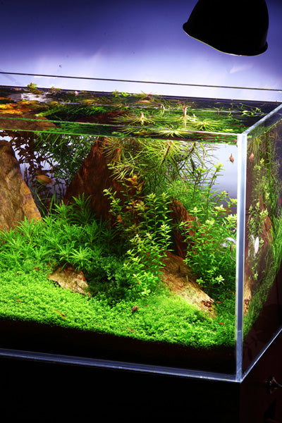 Layout 44 (200 L)