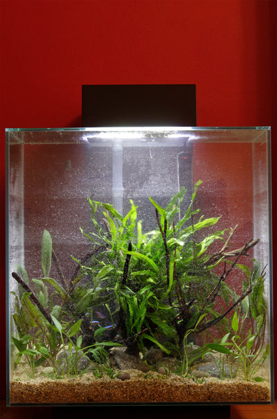Layout 58 (46 L)