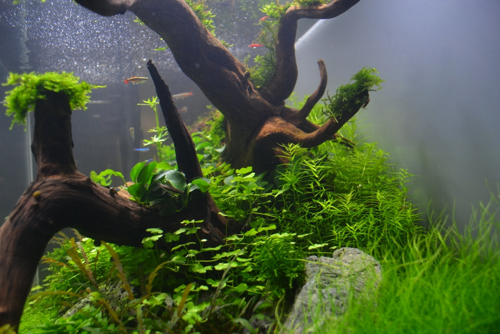 Layout 76 (182 L)