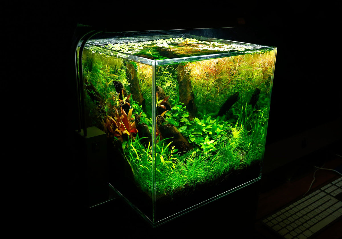 Layout 102 (25 L)