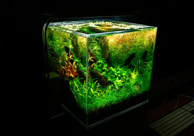 Layout 102 (25 L)