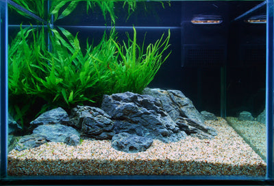 Layout 106 (57 L)