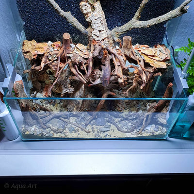 Layout 119 (24 L)