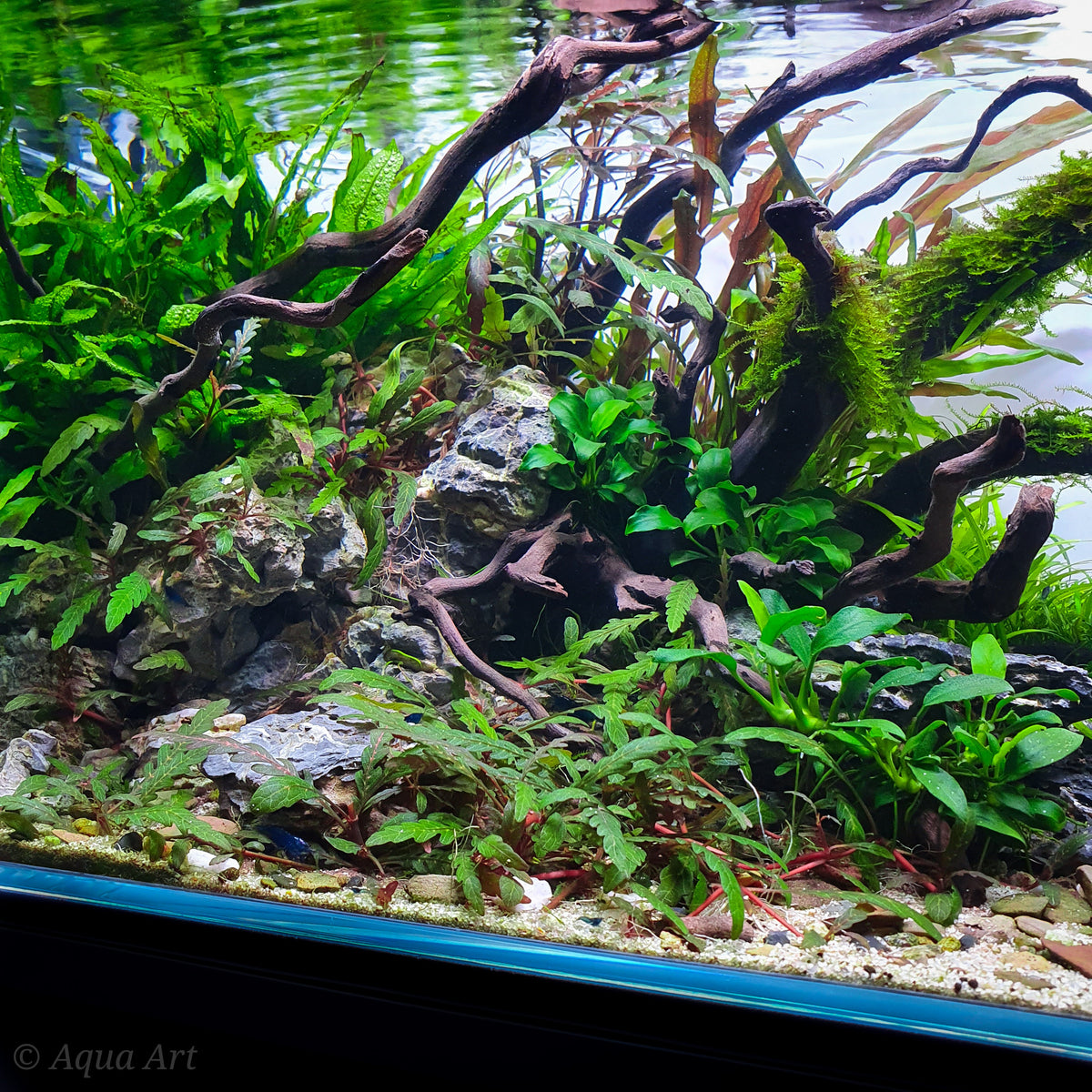 Layout 120 (70 L)