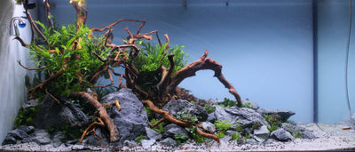 Layout 129 (272 L)