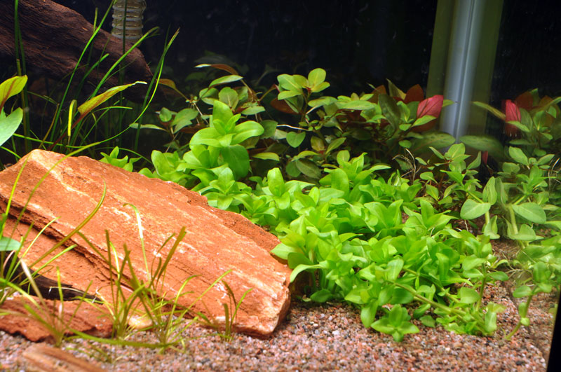 Layout 17 (128 L)