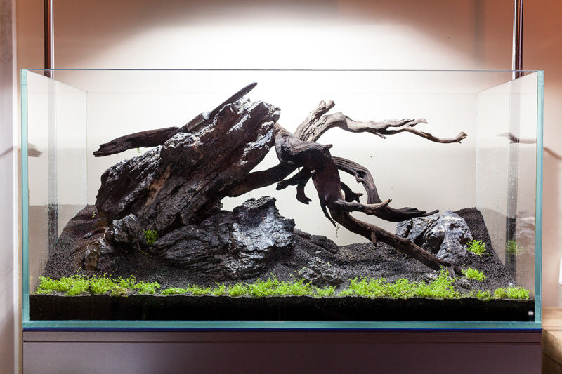 Layout 86 (182 L)