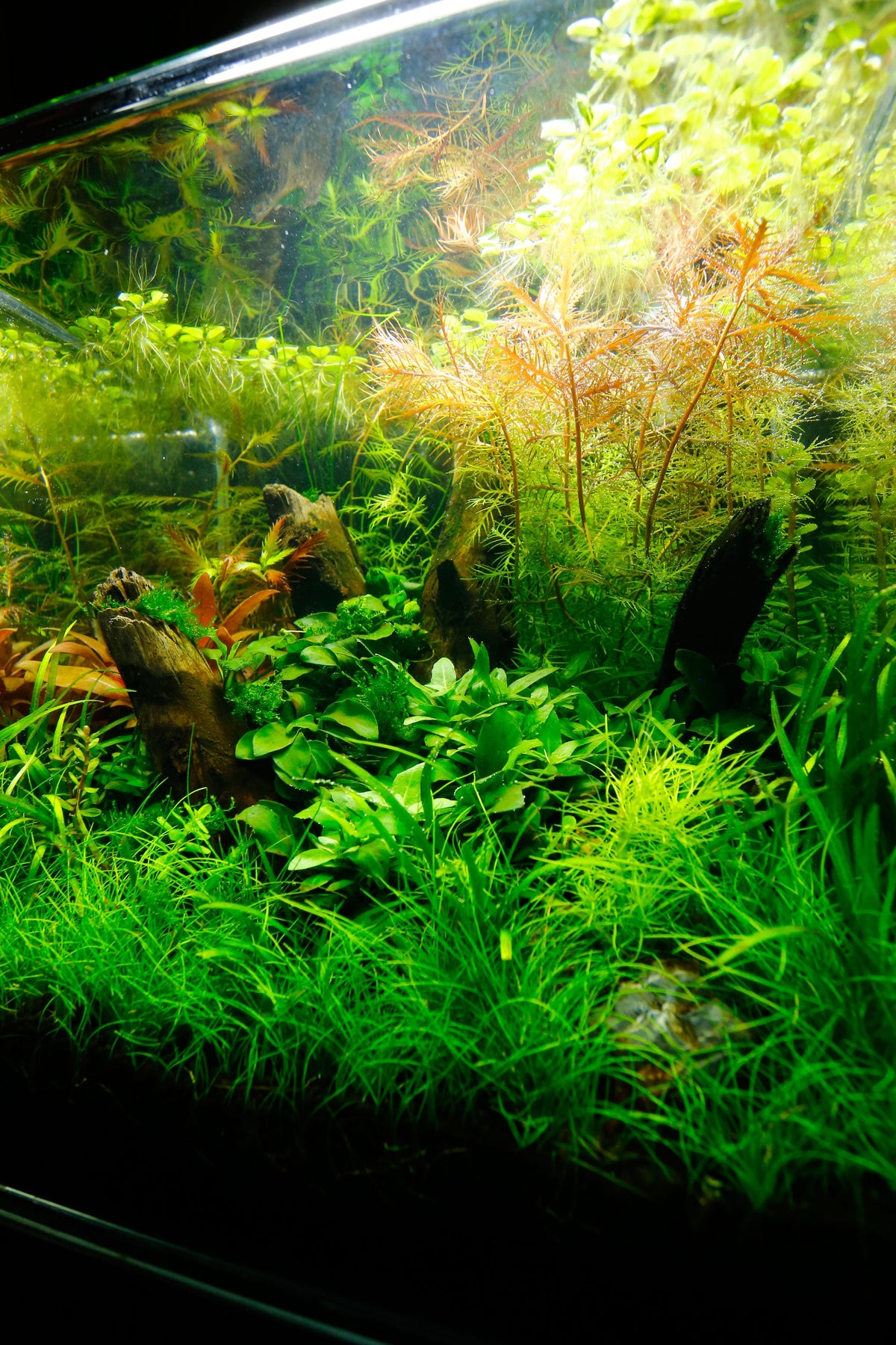 Layout 102 (25 L)