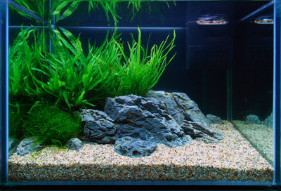 Layout 106 (57 L)