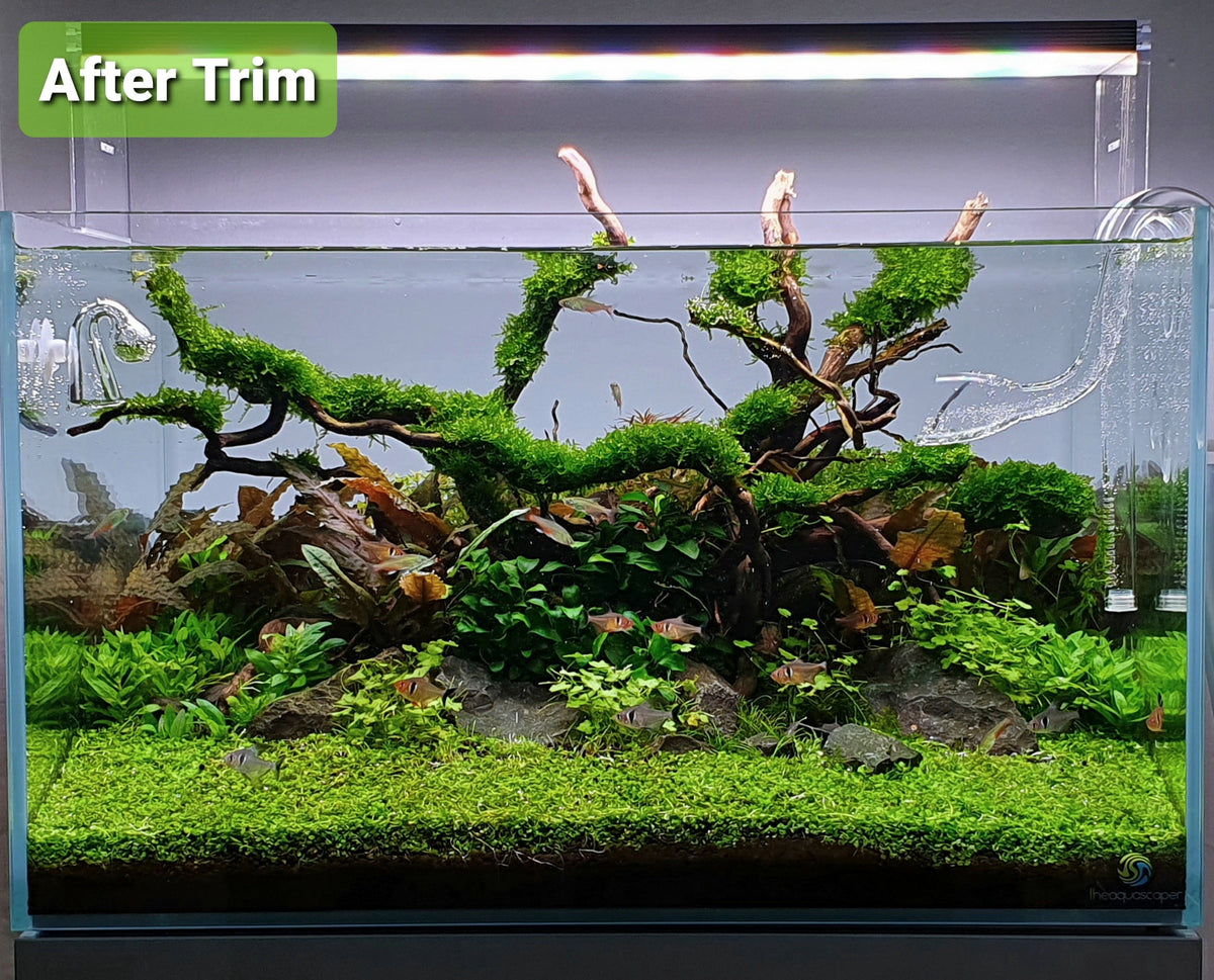 Layout 122 (110 L)