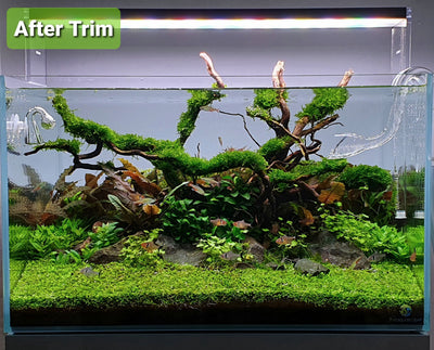 Layout 122 (110 L)
