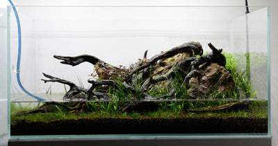 Layout 77 (80 L)