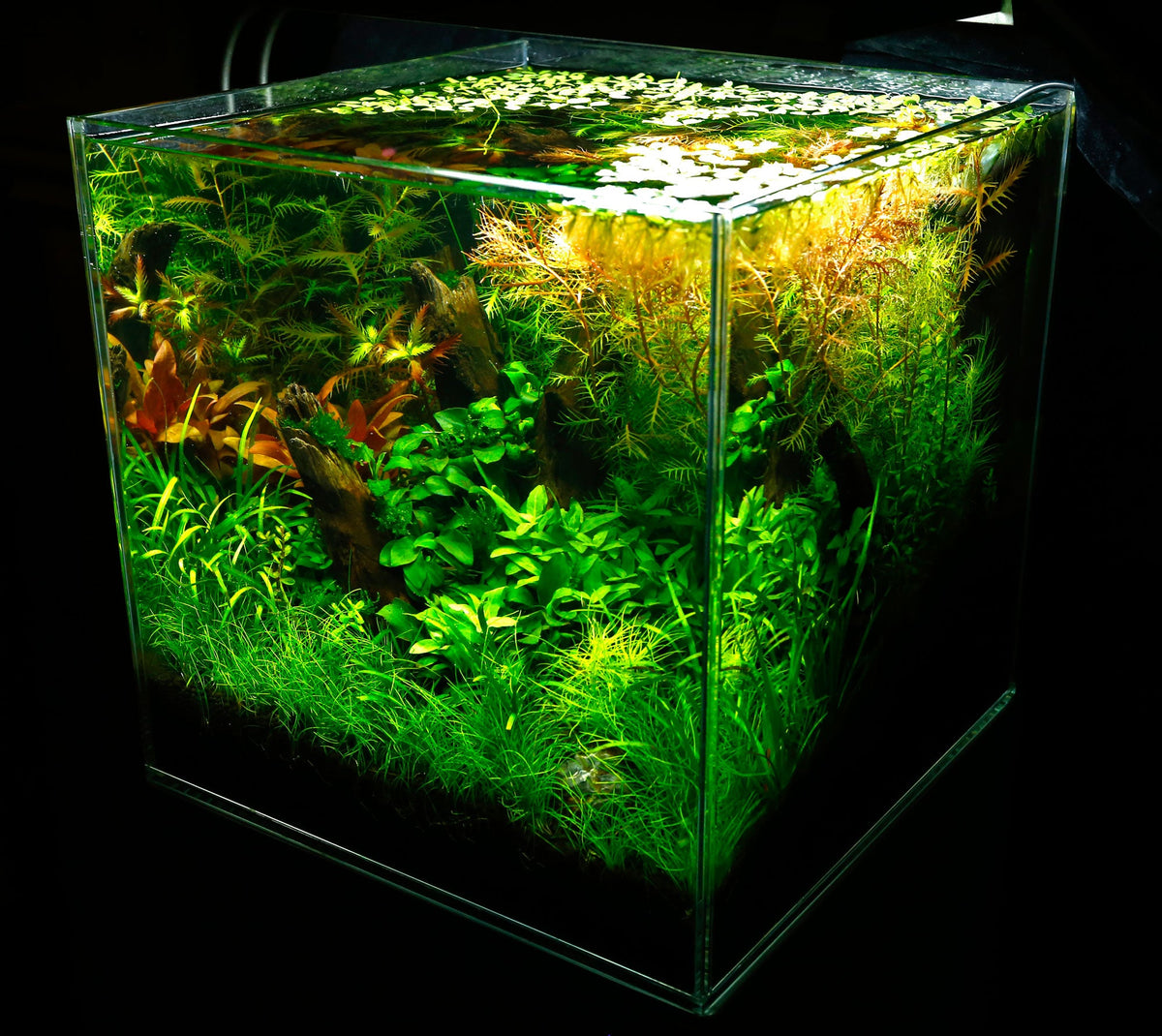 Layout 102 (25 L)