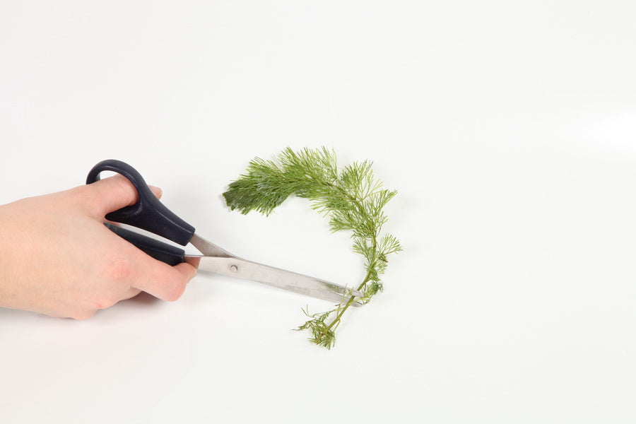 Trimming