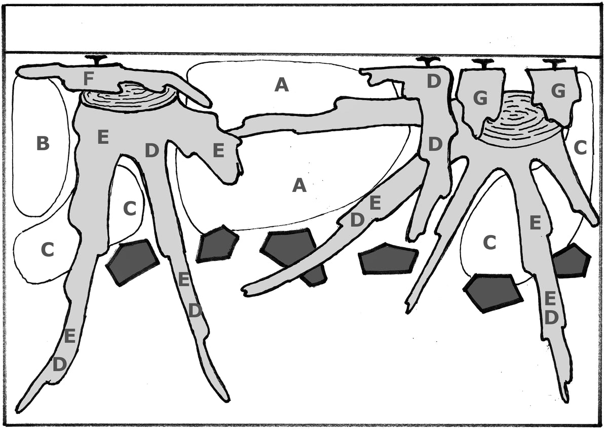 Layout 47 (100 L)