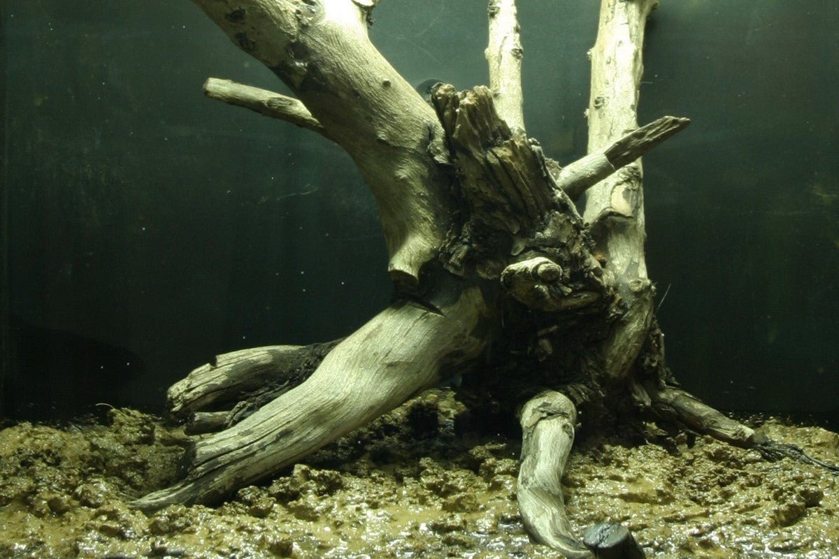 Hardscape et substrat