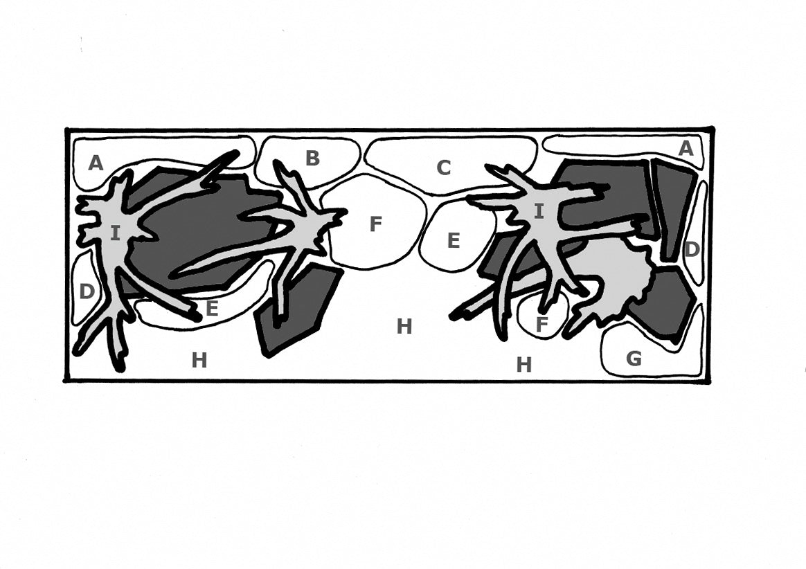 Layout 3 (297 L)