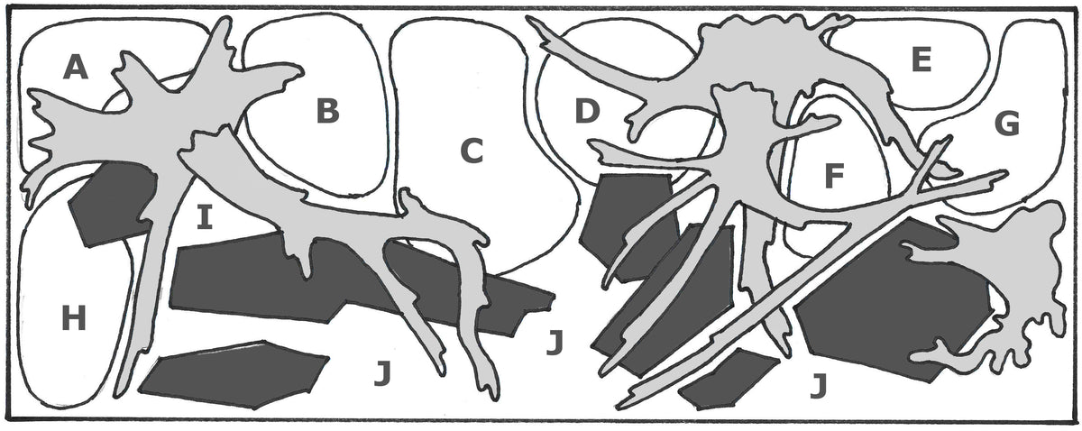 Layout 18 (297 L)