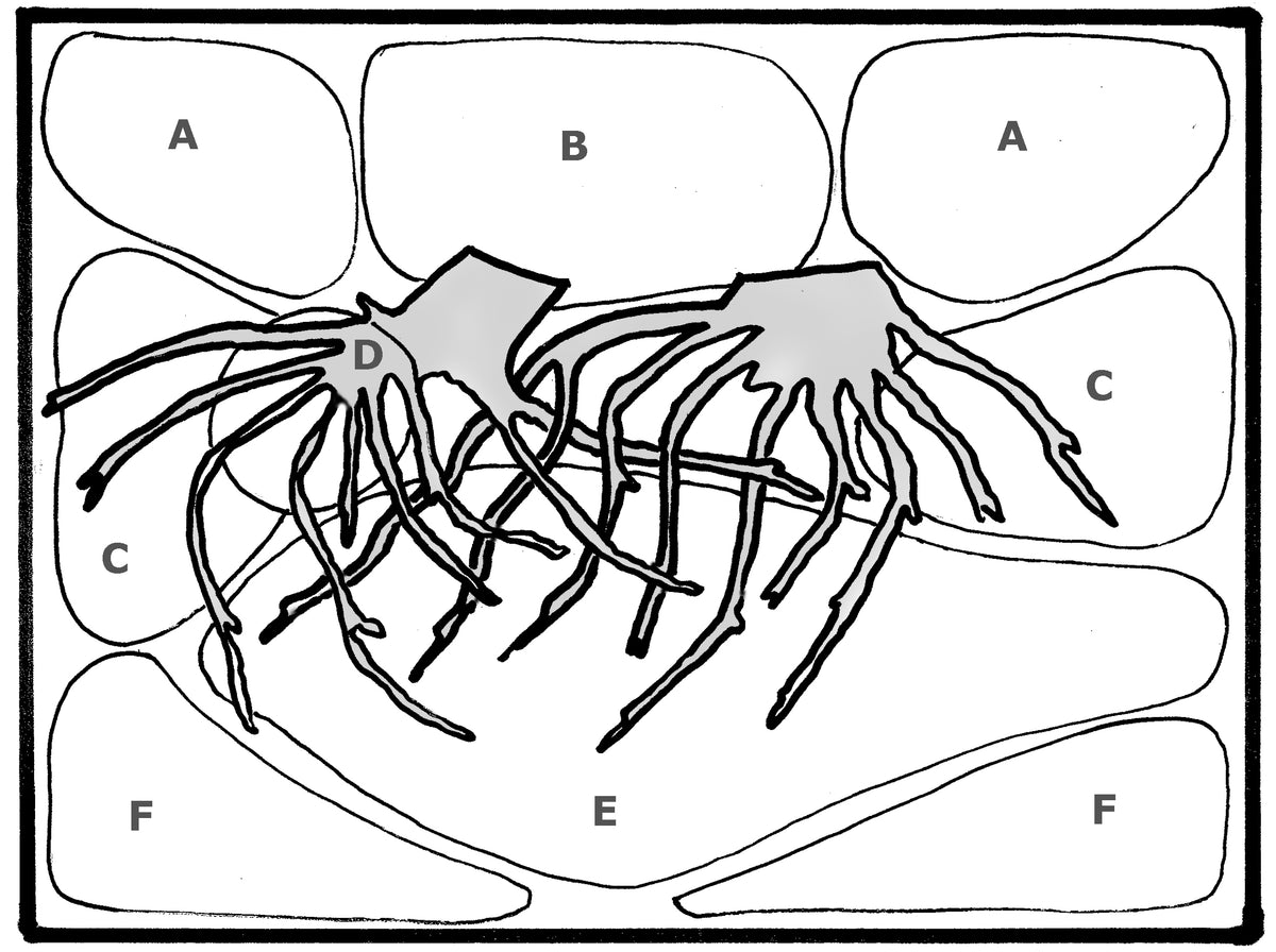 Layout 31 (48 L)