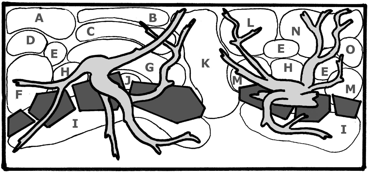 Layout 32 (360 L)