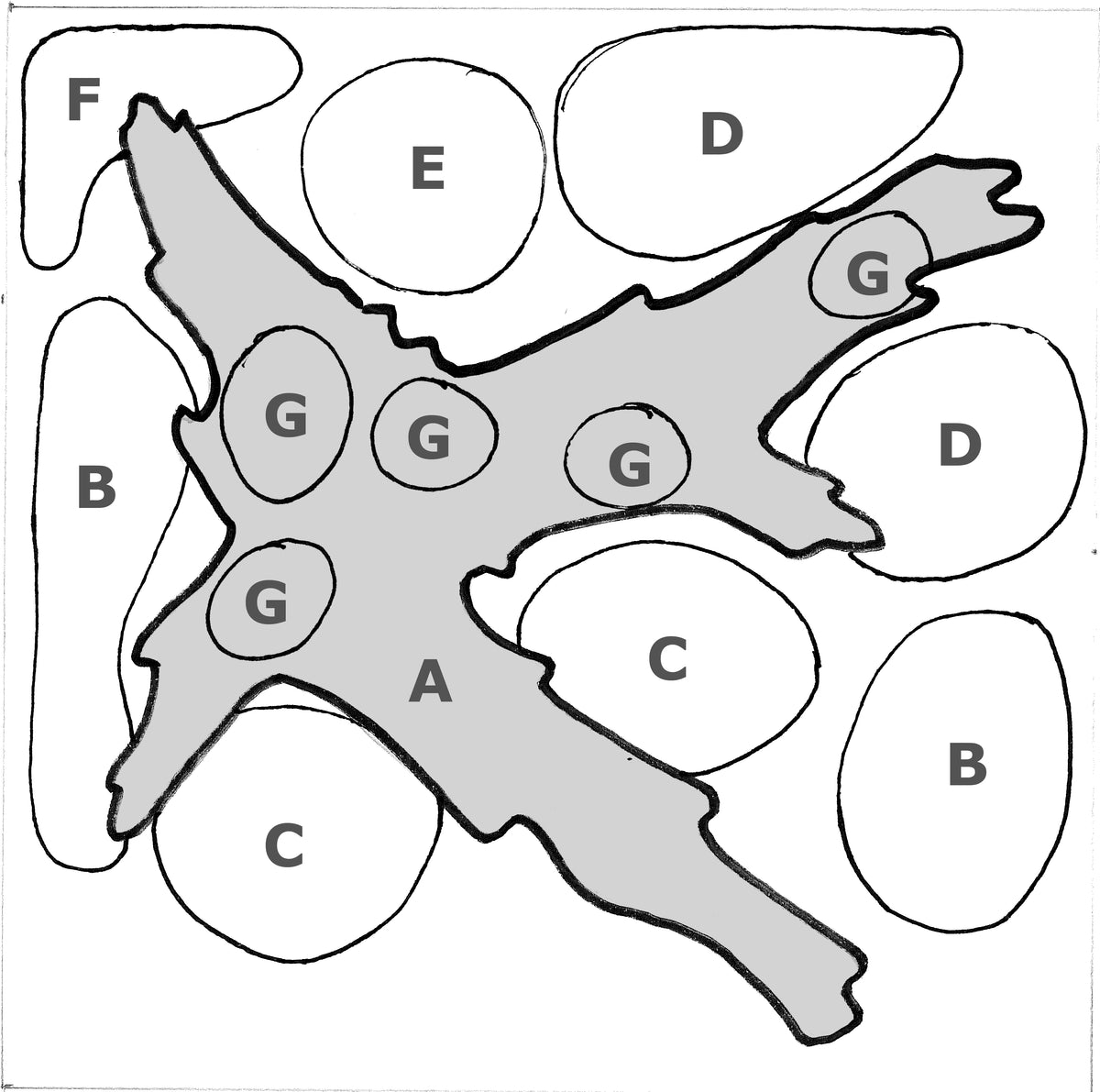 Layout 43 (30 L)