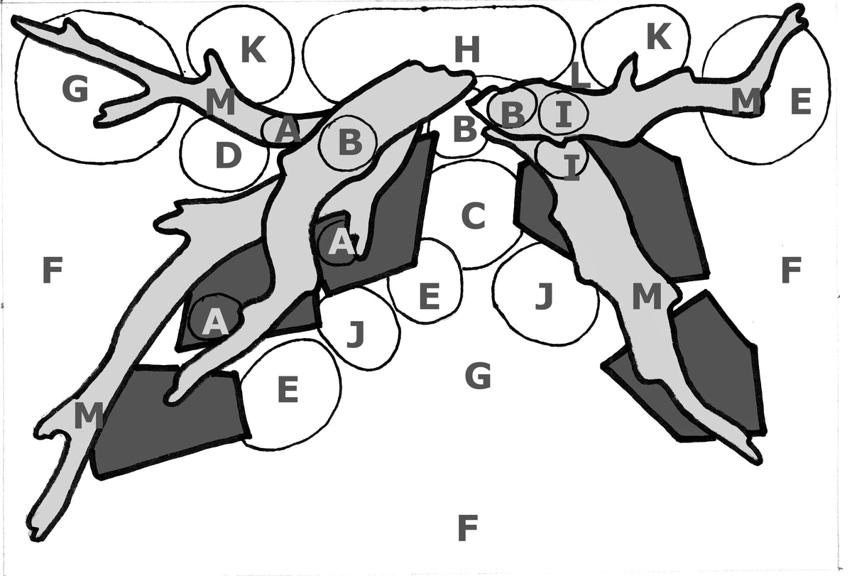 Layout 45 (180 L)