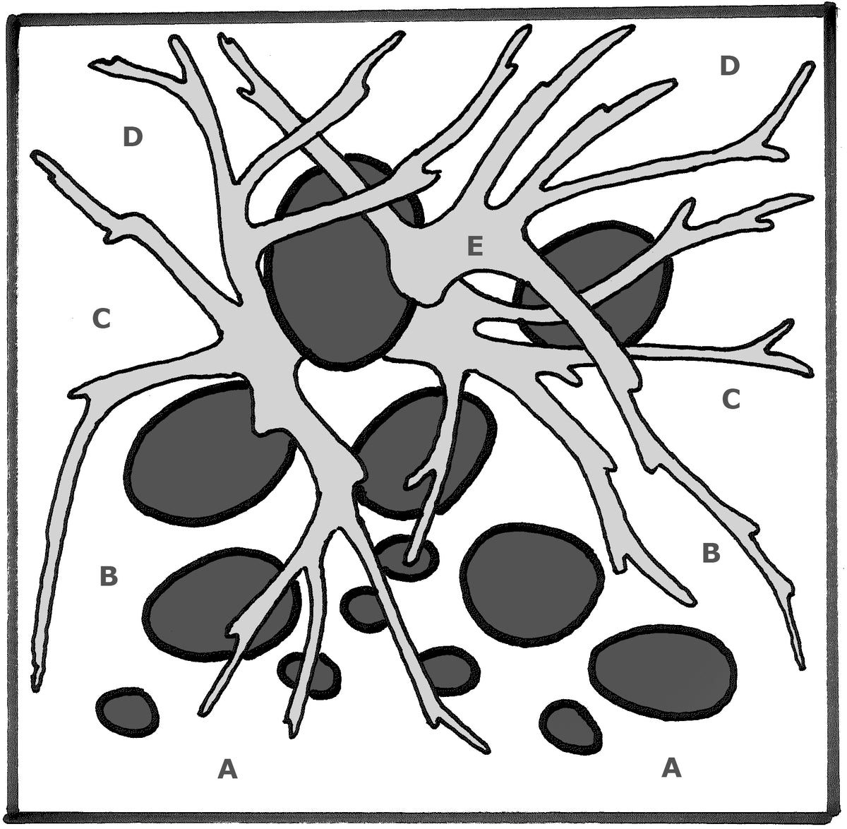 Layout 58 (46 L)