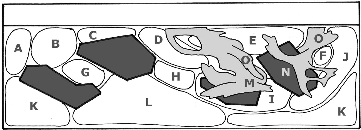 Layout 65 (300 L)
