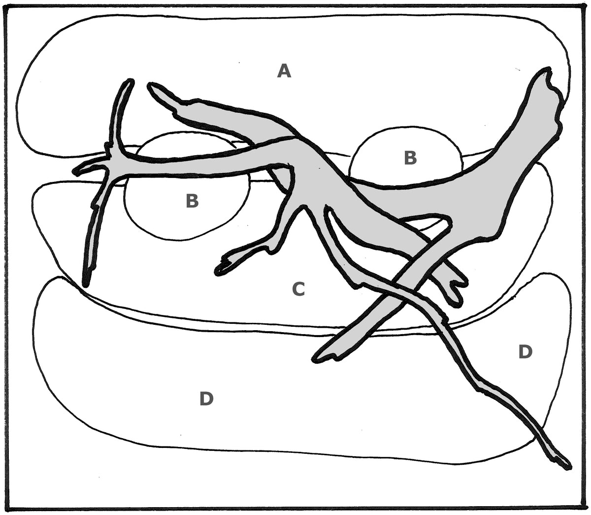 Layout 66 (48 L)