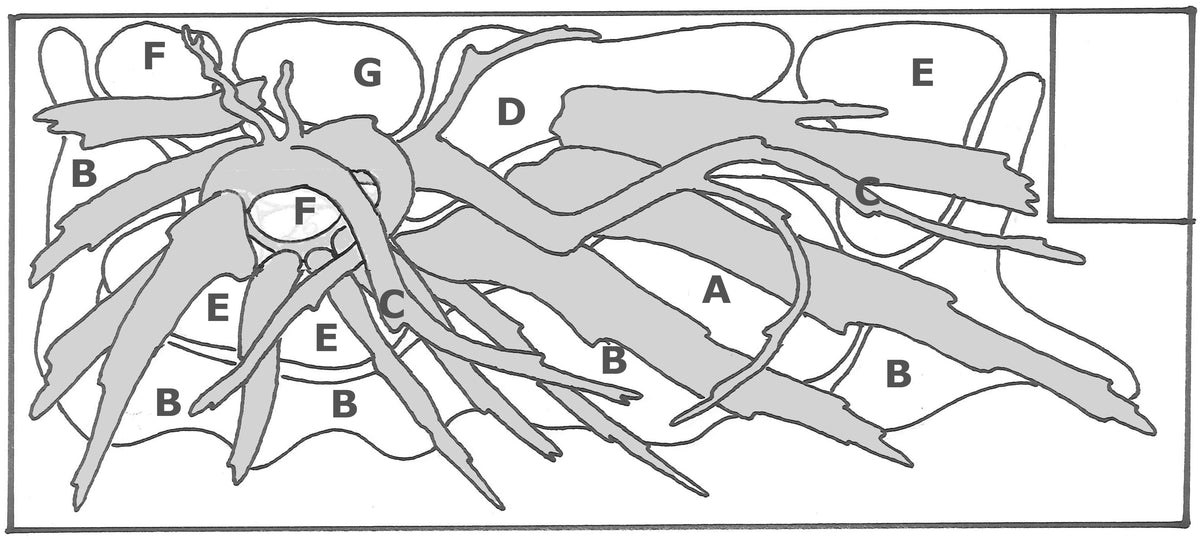 Layout 69 (125 L)