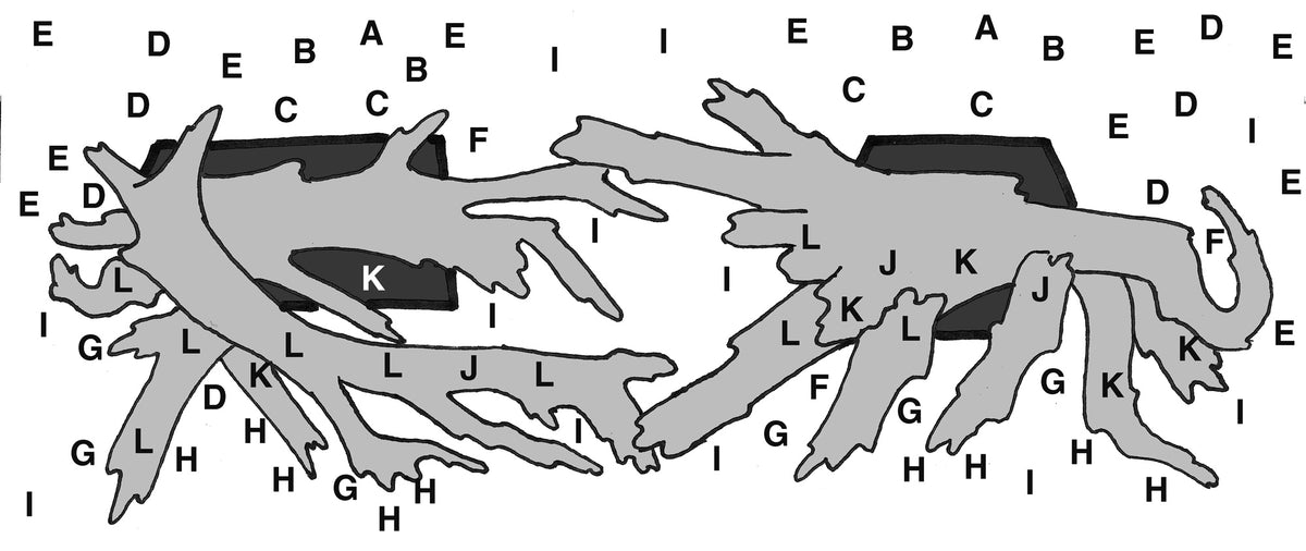 Layout 95 (300 L)