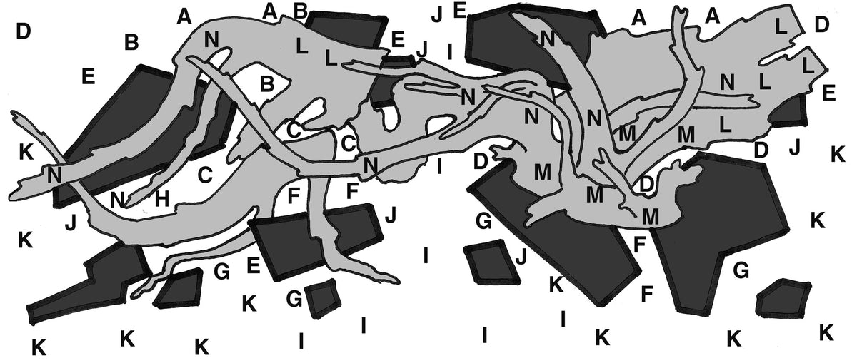 Layout 96 (300 L)