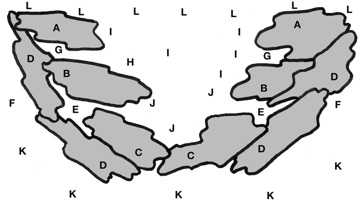 Layout 98 (100 L)